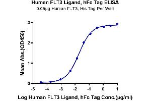 Immobilized Human FLT3, His Tag at 0.