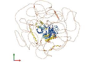 AlphaFold protein structure predicition of Human Recombinant CDK12 Protein, UniprotID Q9NYV4