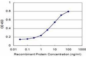 Detection limit for recombinant GST tagged CCT7 is approximately 0.