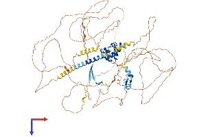 AlphaFold protein structure predicition of Human Recombinant PHC2 Protein, UniprotID Q8IXK0