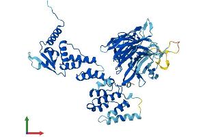 AlphaFold protein structure predicition of Mouse Recombinant Ccin Protein, UniprotID Q8CDE2