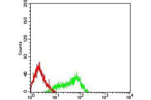 Flow cytometric analysis of HL-60 cells using CD335 mouse mAb (green) and negative control (red).