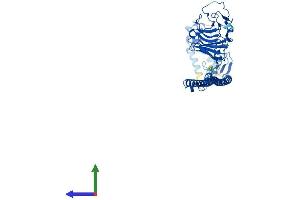 AlphaFold protein structure predicition of Human Recombinant TRIM21 Protein, UniprotID P19474