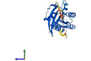 AlphaFold protein structure predicition of Human Recombinant RAB22A Protein, UniprotID Q9UL26