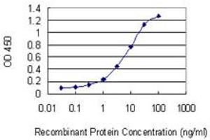 anti-DAZ Associated Protein 2 (DAZAP2) (AA 93-168) antibody