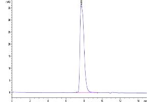 The purity of Biotinylated Human GPA33 is greater than 95 % as determined by SEC-HPLC.