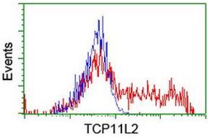 HEK293T cells transfected with either RC207129 overexpress plasmid (Red) or empty vector control plasmid (Blue) were immunostained by anti-TCP11L2 antibody (ABIN2453874), and then analyzed by flow cytometry. (TCP11L2 anticorps)