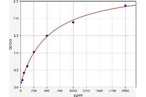 Phospholipase A1 Member A (PLA1A) ELISA Kit
