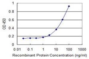 Detection limit for recombinant GST tagged ATXN7L1 is 1 ng/ml as a capture antibody. (ATXN7L1 anticorps  (AA 1-146))