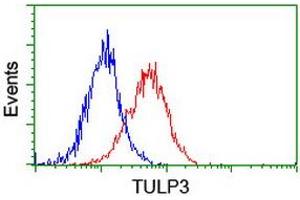 Flow cytometric Analysis of Hela cells, using anti-TULP3 antibody (ABIN2455526), (Red), compared to a nonspecific negative control antibody, (Blue). (TULP3 anticorps)