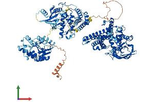 AlphaFold protein structure predicition of Human Recombinant ACAD10 Protein, UniprotID Q6JQN1