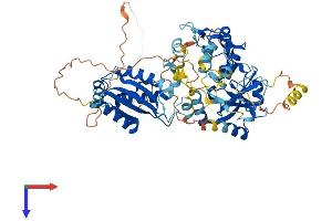AlphaFold protein structure predicition of Mouse Recombinant Parp6 Protein, UniprotID Q6P6P7