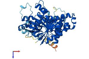 AlphaFold protein structure predicition of Mouse Recombinant Tubb2a Protein, UniprotID Q7TMM9