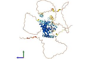 AlphaFold protein structure predicition of Human Recombinant HBP1 Protein, UniprotID O60381