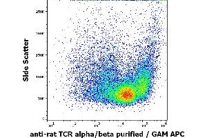 Flow cytometry surface staining pattern of rat thymocyte suspension stained using anti-rat TCR alpha/beta (R73) purified antibody (concentration in sample 1. (TCR alpha/beta anticorps)