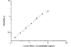 Typical standard curve (Lipocalin 2 Kit ELISA)