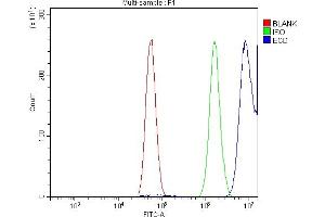 Flow Cytometry analysis of U87 cells using anti-SGT1/ECD antibody (ABIN7601917). (ECD/SGT1 anticorps  (AA 50-632))