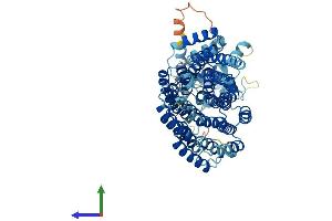 AlphaFold protein structure predicition of Mouse Recombinant Anapc5 Protein, UniprotID Q8BTZ4