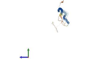 AlphaFold protein structure predicition of Mouse Recombinant Rilp Protein, UniprotID Q5ND29