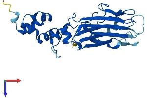 AlphaFold protein structure predicition of Human Recombinant FBXO44 Protein, UniprotID Q9H4M3