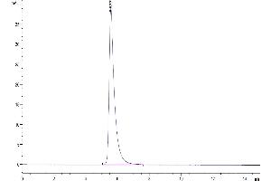 The purity of Human LIF R/CD118 is greater than 95 % as determined by SEC-HPLC.