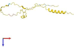 AlphaFold protein structure predicition of Mouse Recombinant Tnp2 Protein, UniprotID P11378