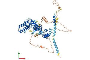 AlphaFold protein structure predicition of Mouse Recombinant Riok2 Protein, UniprotID Q9CQS5