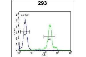 ERMIN Antibody (Center) (ABIN651086 and ABIN2840065) flow cytometric analysis of 293 cells (right histogram) compared to a negative control cell (left histogram). (ERMN anticorps  (AA 113-141))