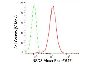Flow cytometric analysis of NSD3 expression in HepG2 cells using NSD3 antibody (ABIN7800867), 1:2,000). (Recombinant WHSC1L1 anticorps)