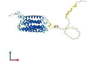 AlphaFold protein structure predicition of Mouse Recombinant Gprc5a Protein, UniprotID Q8BHL4