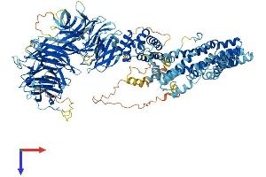 AlphaFold protein structure predicition of Mouse Recombinant Elp1 Protein, UniprotID Q7TT37