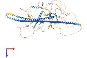 AlphaFold protein structure predicition of Mouse Recombinant Incenp Protein, UniprotID Q9WU62