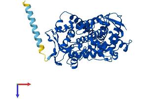 AlphaFold protein structure predicition of Human Recombinant CYP2A13 Protein, UniprotID Q16696
