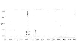 Brain Natriuretic Peptide (BNP) protein (Ovalbumin)