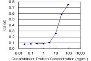 Sandwich ELISA detection sensitivity ranging from 1 ng/mL to 100 ng/mL. (APLN (Humain) Matched Antibody Pair)
