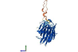 AlphaFold protein structure predicition of Mouse Recombinant Lgals4 Protein, UniprotID Q8K419