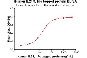 ELISA plate pre-coated by 2 μg/mL (100 μL/well) Human IL21R, His tagged protein (ABIN7092745, ABIN7272298 and ABIN7272299) can bind Human IL21, hFc Tagged protein ABIN6964397, ABIN7042851 and ABIN7042852 in a linear range of 1.