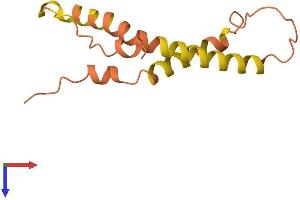 AlphaFold protein structure predicition of Human Recombinant PRR9 Protein, UniprotID Q5T870