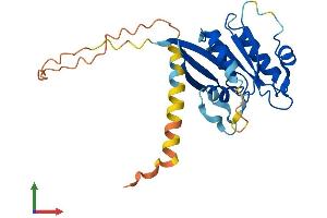 AlphaFold protein structure predicition of Mouse Recombinant Arl10 Protein, UniprotID Q9QXJ4