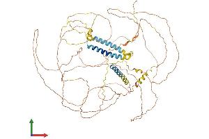 AlphaFold protein structure predicition of Human Recombinant TRDN Protein, UniprotID Q13061