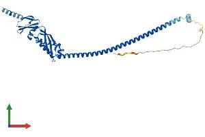 AlphaFold protein structure predicition of Mouse Recombinant Erlin2 Protein, UniprotID Q8BFZ9