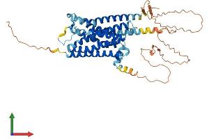 AlphaFold protein structure predicition of Mouse Recombinant Adra1a Protein, UniprotID P97718