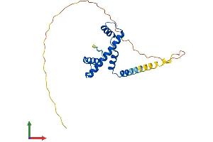 AlphaFold protein structure predicition of Human Recombinant TAF11 Protein, UniprotID Q15544