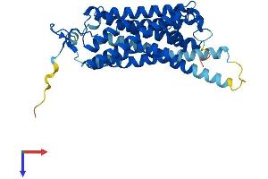 AlphaFold protein structure predicition of Mouse Recombinant Taar9 Protein, UniprotID Q5QD04