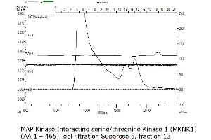 Size-exclusion chromatography-High Pressure Liquid Chromatography (SEC-HPLC) image for MAP Kinase Interacting serine/threonine Kinase 1 (MKNK1) (AA 1-465) protein (Strep Tag) (ABIN3083900)