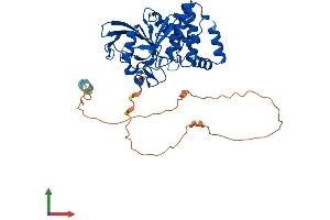 AlphaFold protein structure predicition of Human Recombinant PTPN1 Protein, UniprotID P18031