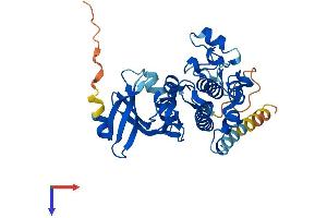AlphaFold protein structure predicition of Human Recombinant TSSK4 Protein, UniprotID Q6SA08