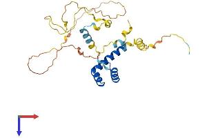AlphaFold protein structure predicition of Mouse Recombinant Gsc Protein, UniprotID Q02591