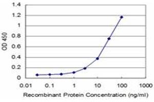 Detection limit for recombinant GST tagged VAV1 is approximately 1ng/ml as a capture antibody.