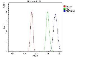Flow Cytometry analysis of HEPA1-6 cells using anti-RBPJK/RBPJ antibody (ABIN7601671).
